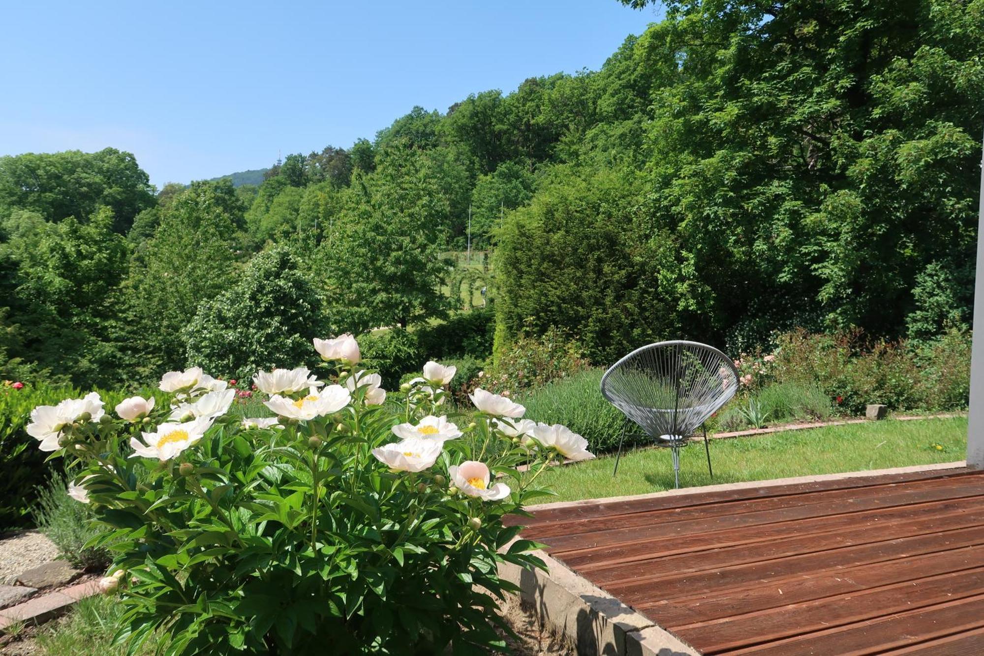 Apartment Im Rosentraum Mit Privater Terasse Baden-Baden Bagian luar foto